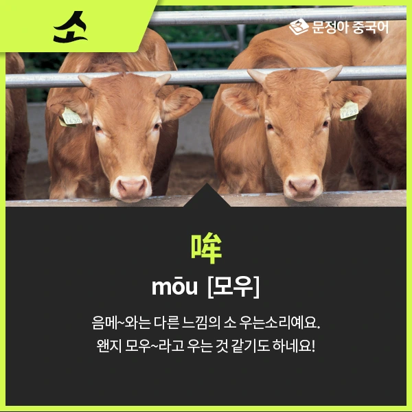 05_%EB%8F%99%EB%AC%BC%EC%9A%B8%EC%9D%8C%EC%86%8C%EB%A6%AC.jpg?type=w1