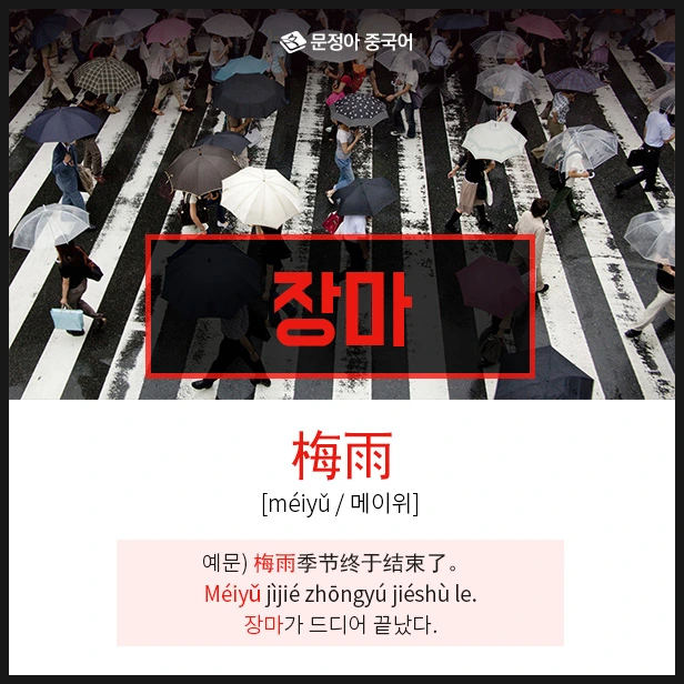 SE-b3dbc569-be89-40db-af76-db407923b3d8.jpg?type=w1