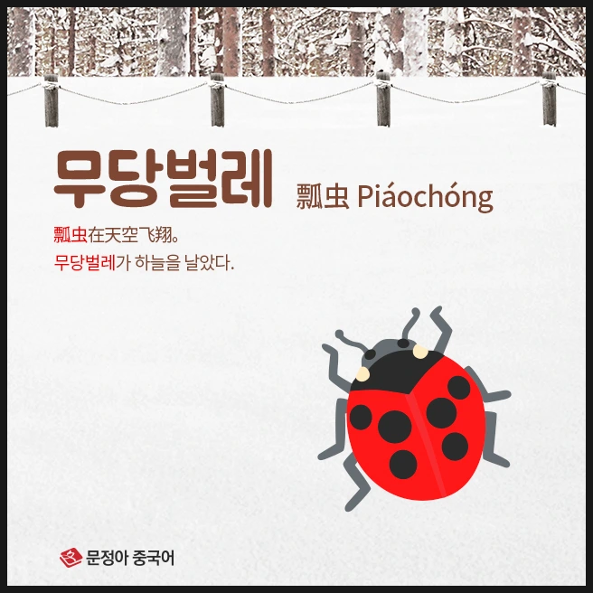 SE-160ddb1f-7e74-4d43-b759-c68821aa0ff4.jpg?type=w1