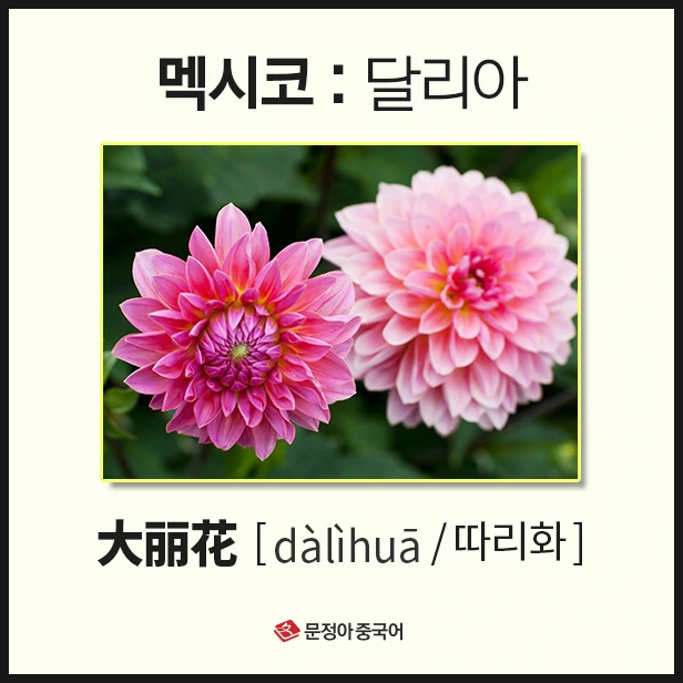 SE-0fd5b4b7-f180-4741-9481-67a58c79d898.jpg?type=w1