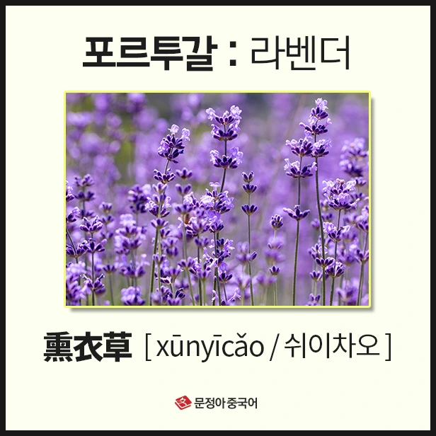 SE-2a8d1941-98eb-4adb-9486-2269bb64ebfa.jpg?type=w1