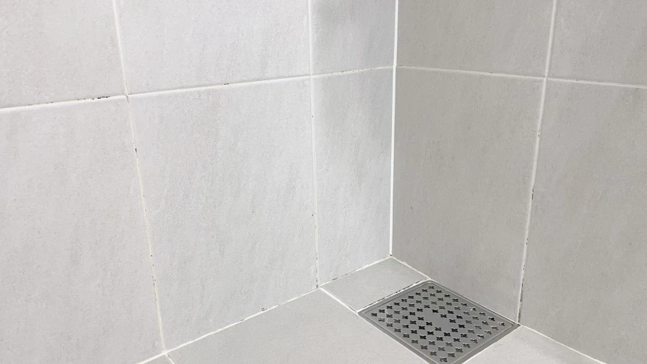 before_01.jpg?type=w1