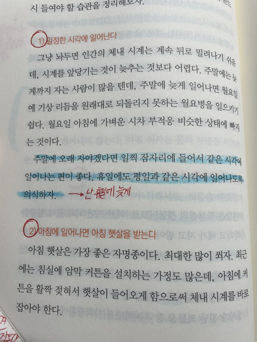 IMG_6945.jpg?typew966