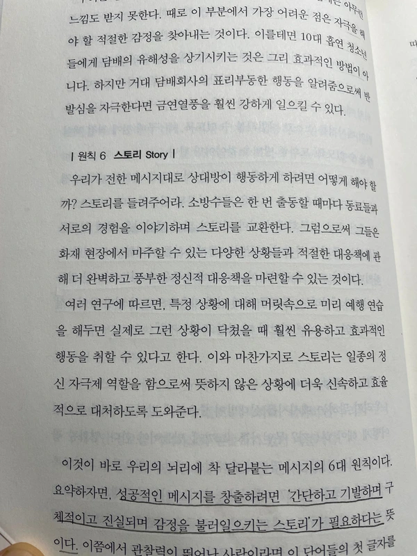 SE-2344ba82-41c4-4d26-b2f5-5383cbe0c3aa.jpg?type=w966