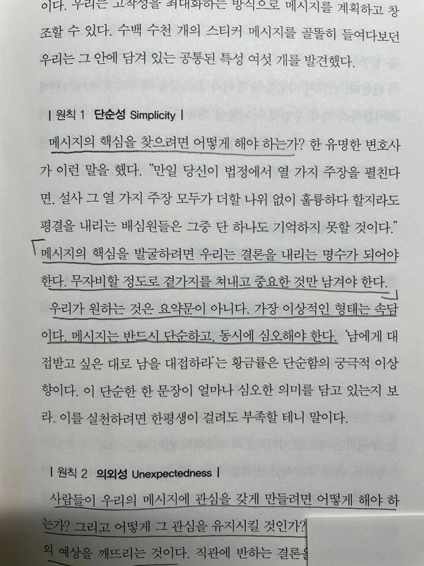 SE-5dd44c55-dd32-469b-bb65-61e99c1c0847.jpg?type=w966