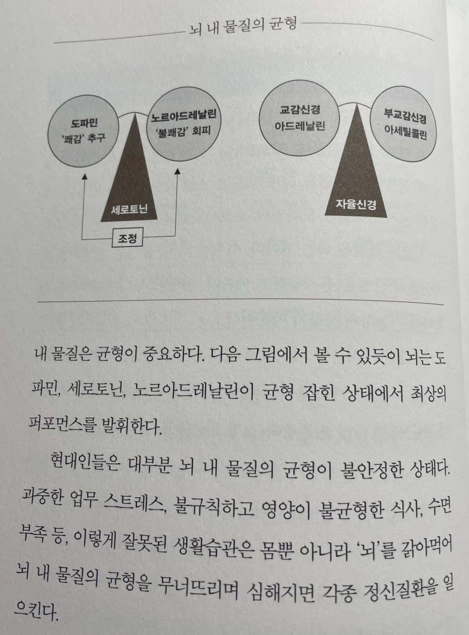 SE-65bdf7dc-40cb-41a0-bd30-b89d164bec68.jpg?typew966