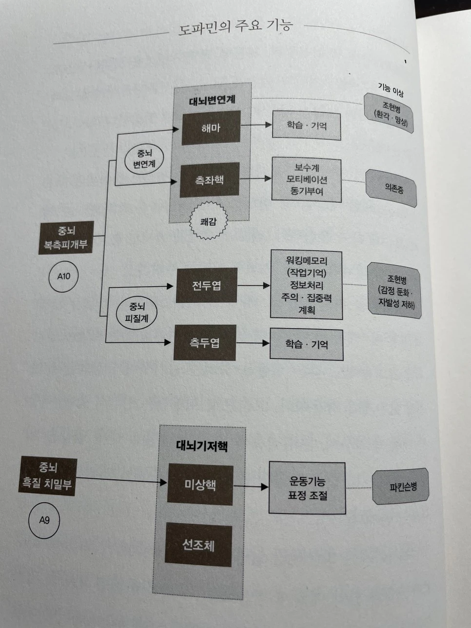 KakaoTalk_20221019_204340375_02.jpg?typew966