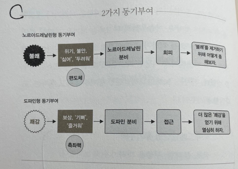 SE-5147c278-c76d-41bc-a656-fbbed60685a7.jpg?typew966