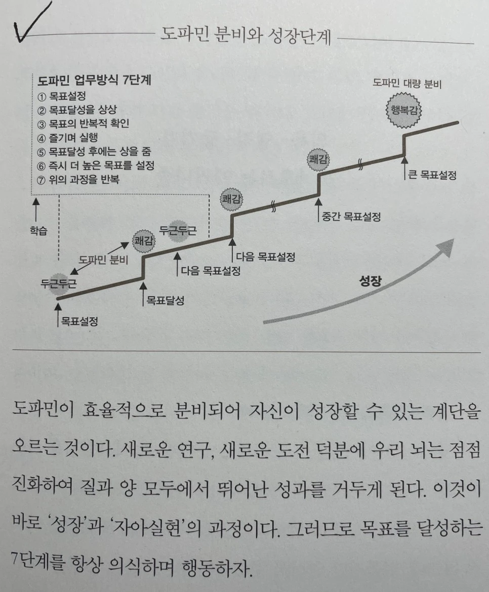 SE-a2c4211c-05dc-4b2b-84aa-6668e5baa404.jpg?typew966