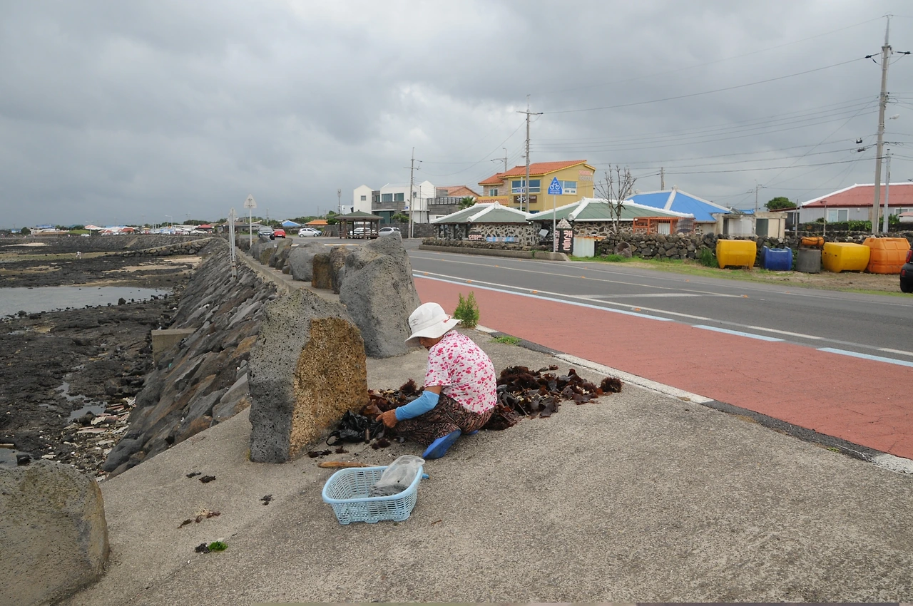 바탕화면 617.JPG