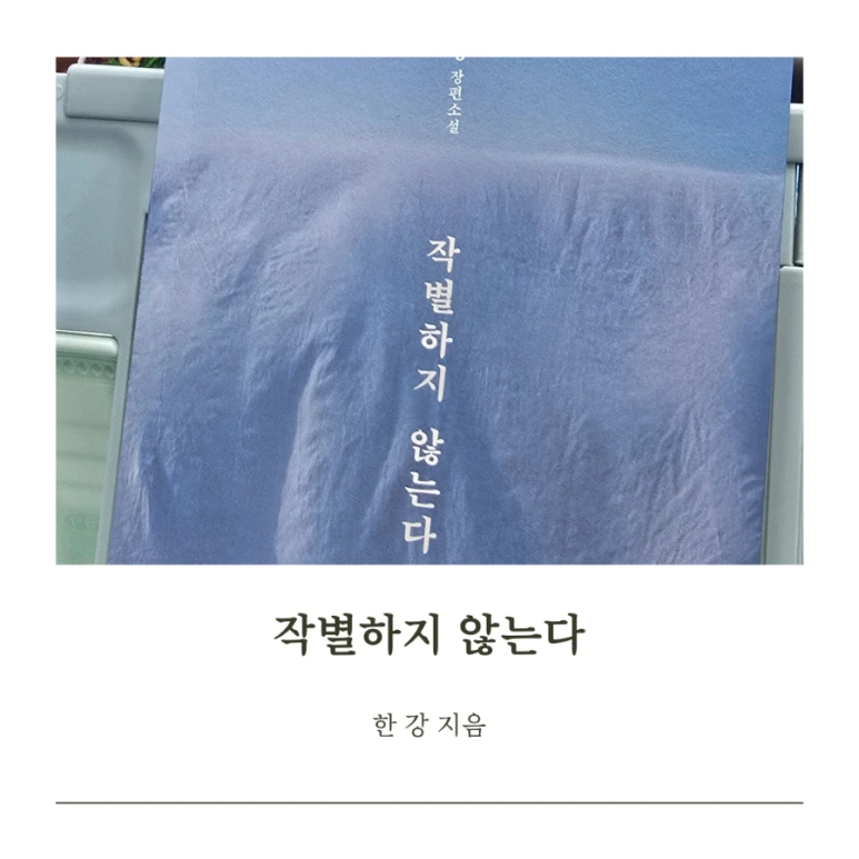 900%EF%BC%BF%EC%96%B4%EB%8A%90_%EC%A4%91%EB%85%84%EC%9D%98_%EC%9D%BC%EC%83%81_%ED%83%88%EC%B6%9C_%EA%B3%A0%EB%B0%B1%EC%84%9C%EF%BC%BF20241220%EF%BC%BF124244%EF%BC%BF0000.png?type=w773