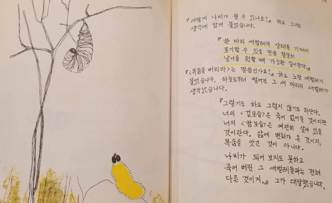 꽃들에게 희망을.JPG