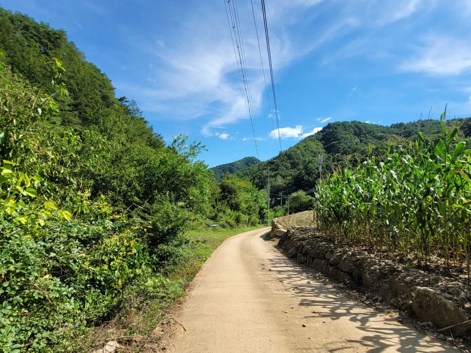 SE-f010000f-07ff-41d6-86d3-4dac448167b7.jpg?type=w966