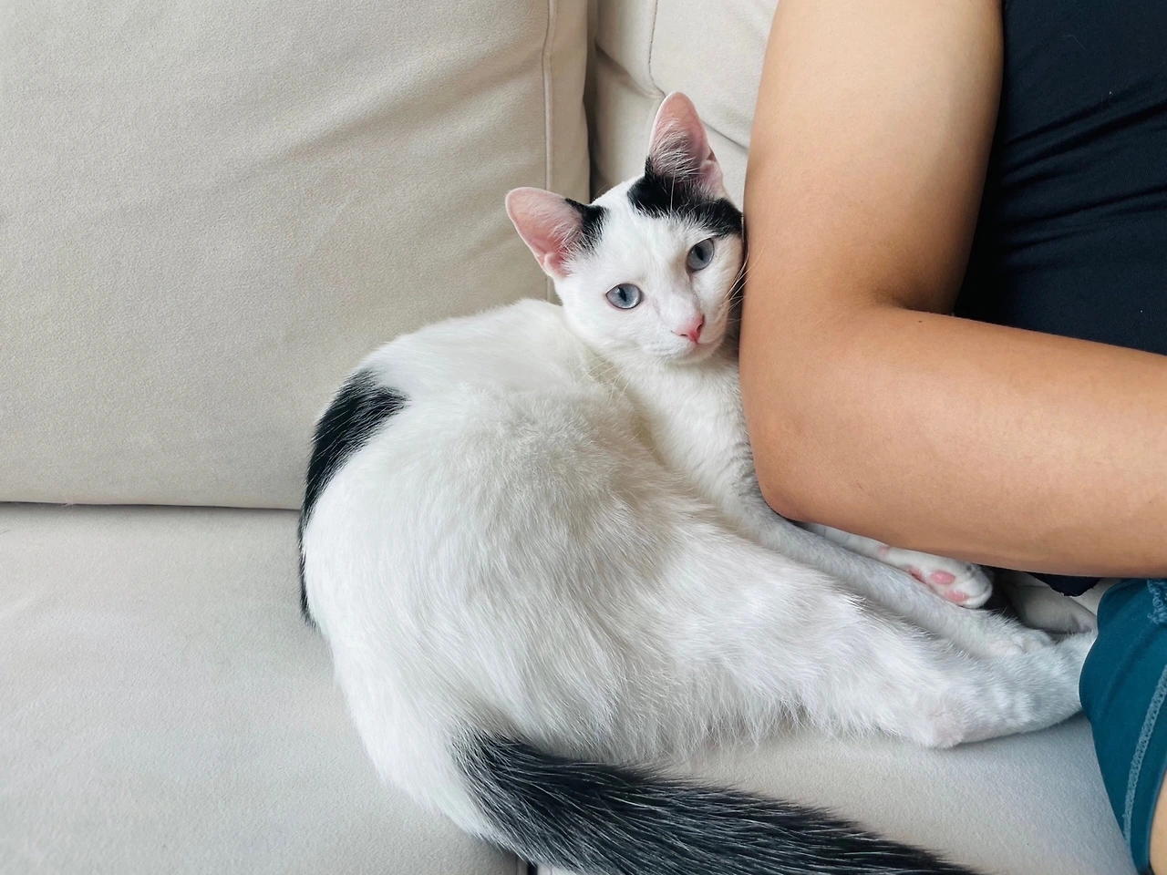 KakaoTalk_Photo_2024-07-04-19-20-30 002.jpeg