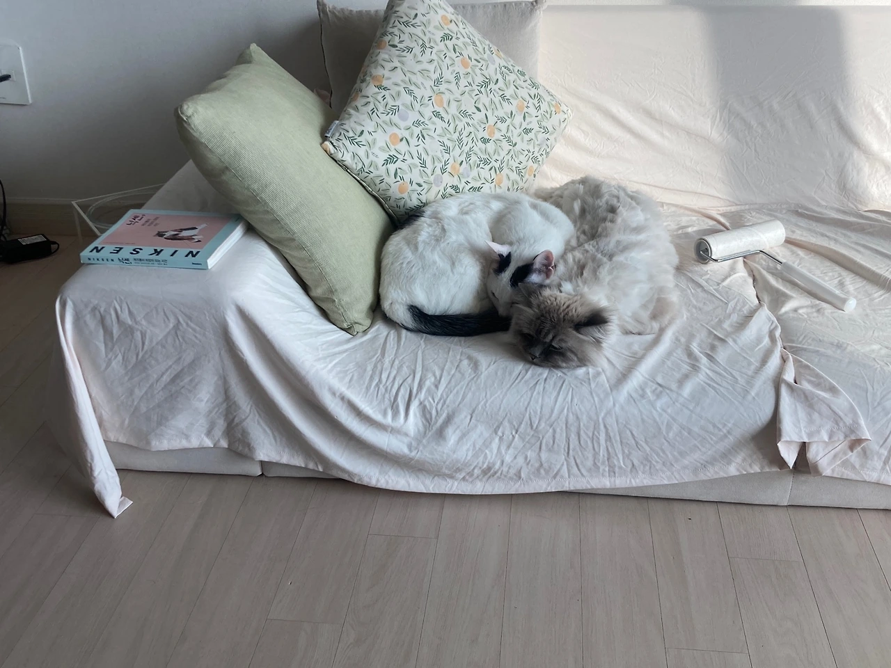 KakaoTalk_Photo_2024-07-04-19-20-29 001.jpeg