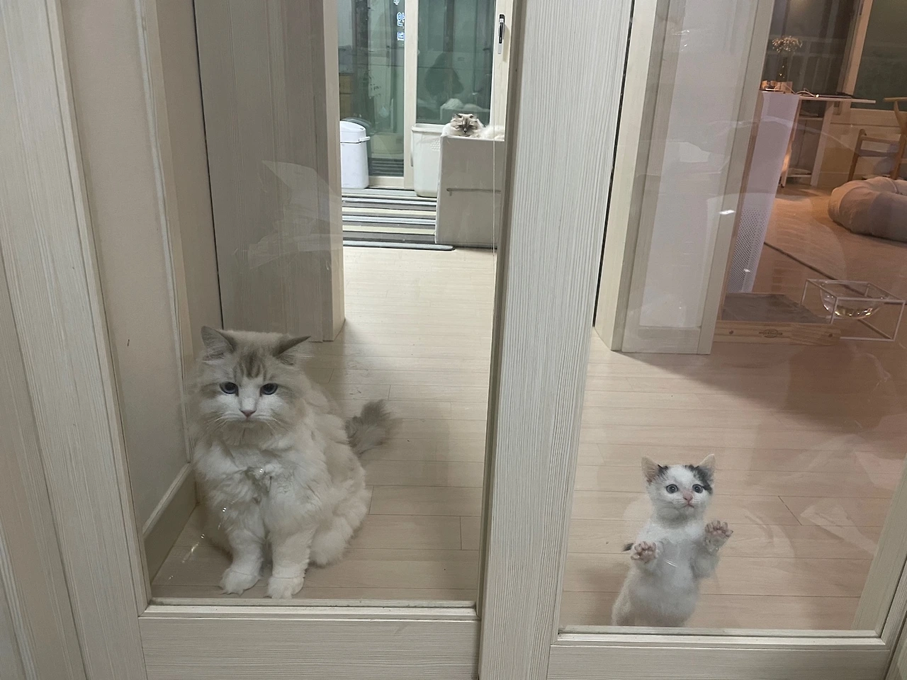 KakaoTalk_Photo_2024-07-04-19-20-30 003.jpeg