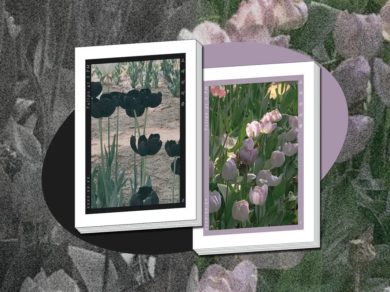 45f631f4-442b-4684-9d2a-b2314315a6b6.jfif