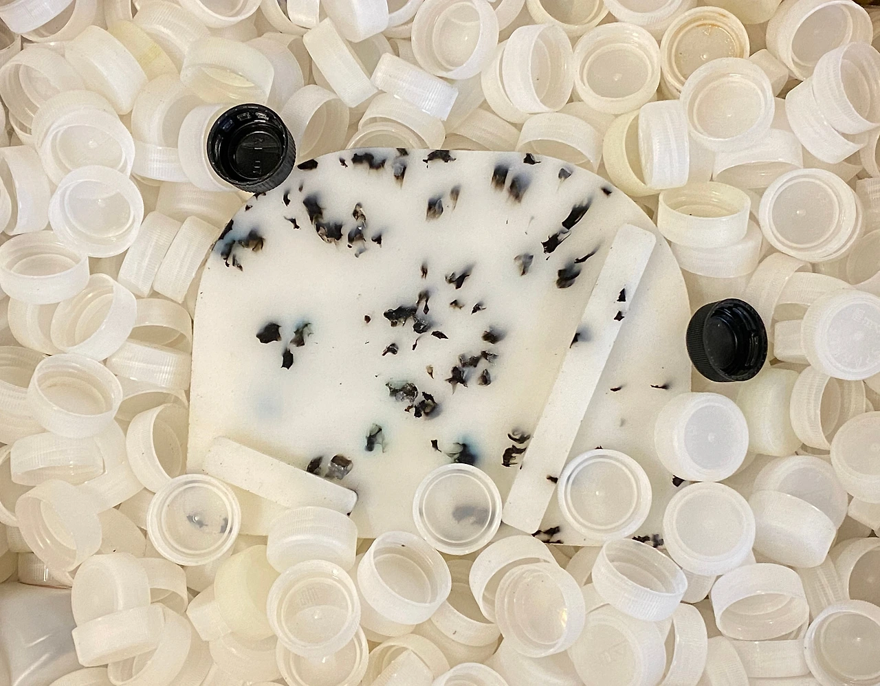 로사드스튜디오_달마시안 책선반1.jpeg