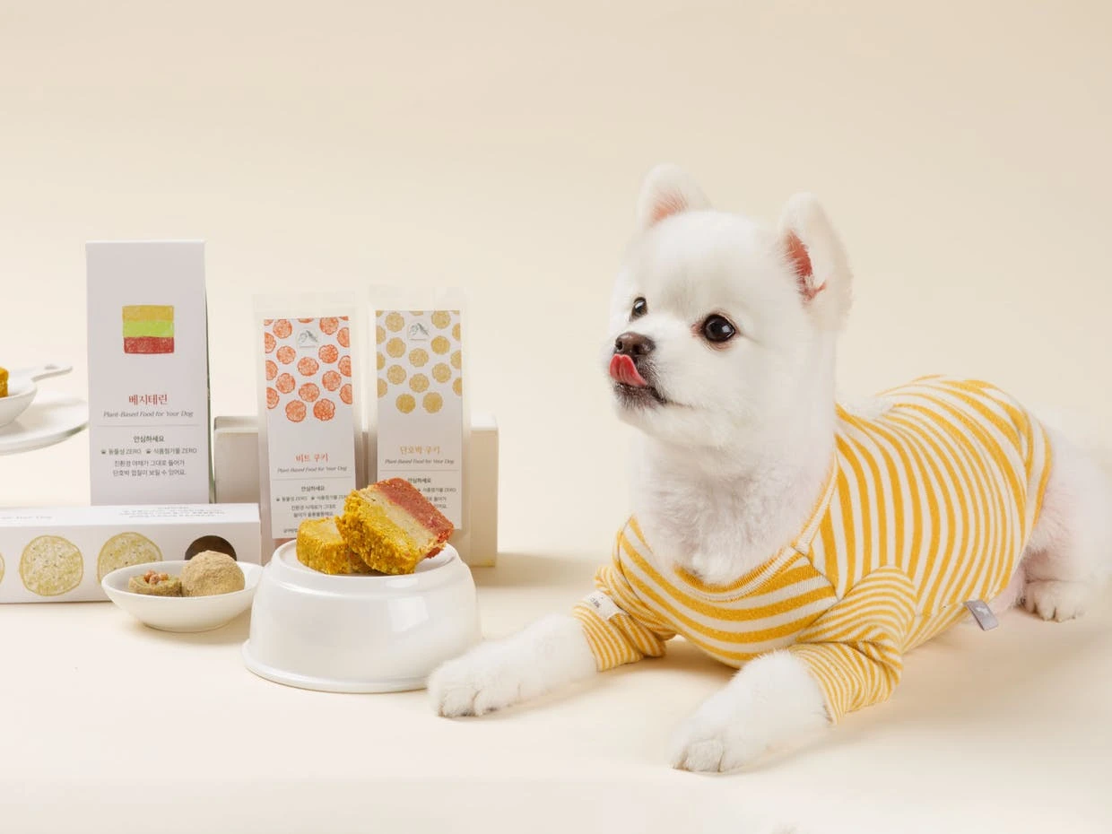 06VaKEgflJ9KLsLjWP5BuQyv7MK865bVmx9KoV3jy3jITn7d2dLJWg864--2IRzHn-aMxGJOyHzJr9NeJQ4F3R4YTmkS7sBkGPR5nSENT0xFQ7OEkXlvmXXdKiatzV4=s0-d-e1-ft