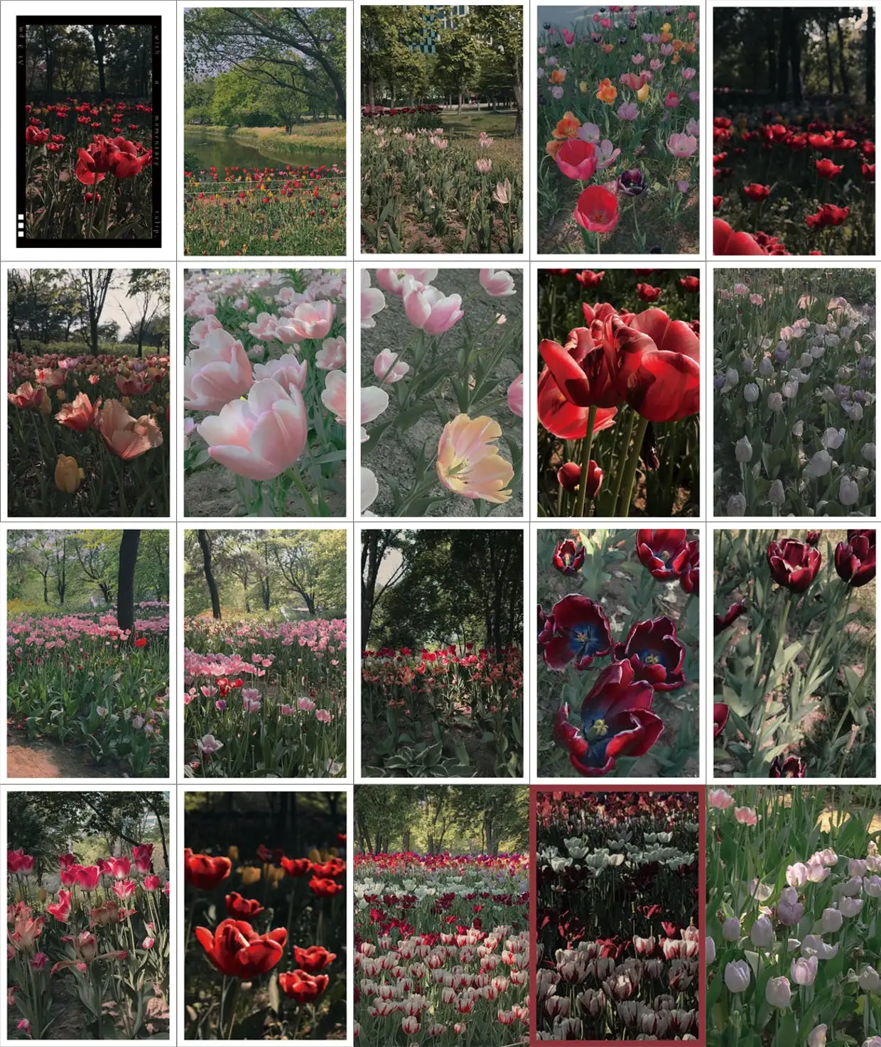 aaf2e4cf-e4c8-40c7-baad-c91c6584d2f3.jfif