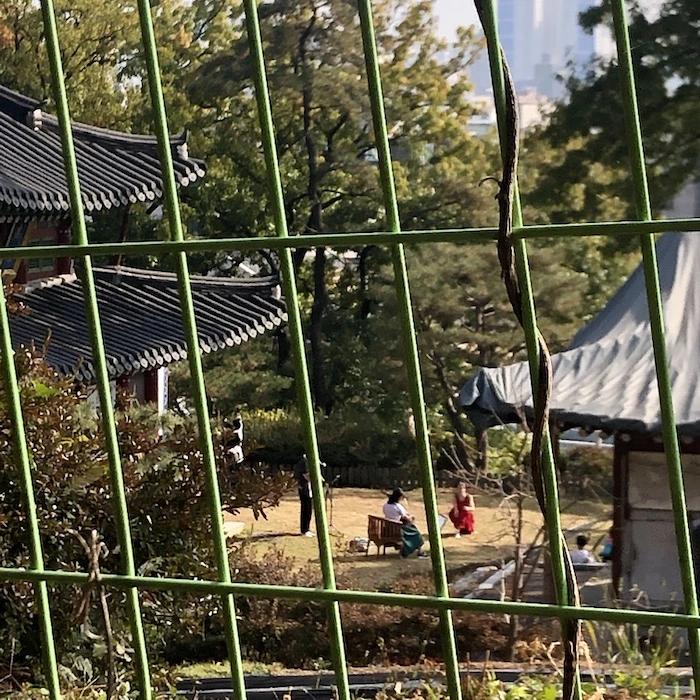 IMG_0344.jpg?type=w1