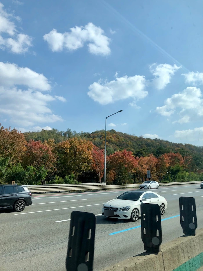 SE-b3327da3-628f-4a41-9bb8-d93480d2f871.jpg?type=w1