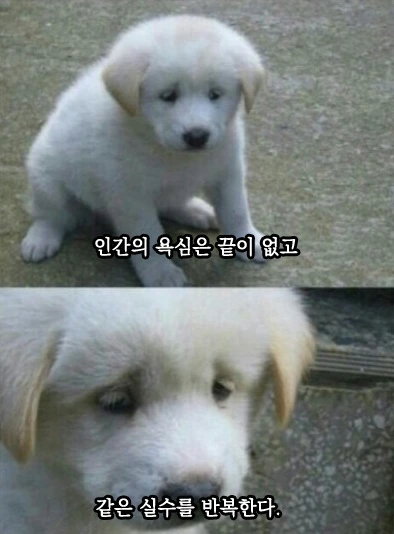 %EA%B0%99%EC%9D%80%EC%8B%A4%EC%88%98.png?type=w1200