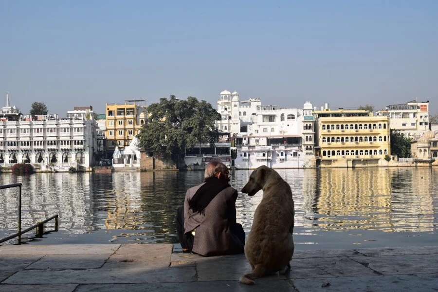 IMG_9506.jpg?type=w966