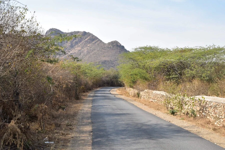 IMG_9956.jpg?type=w966