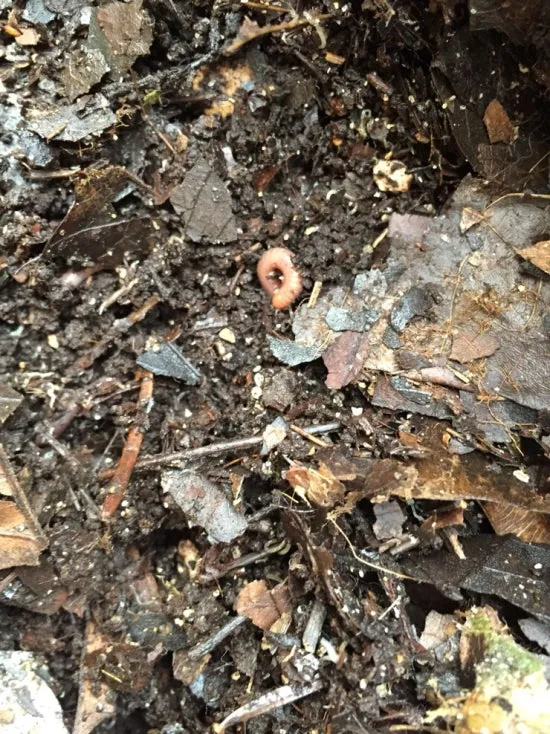 NaverBlog_20151011_001020_22.jpg?type=w3