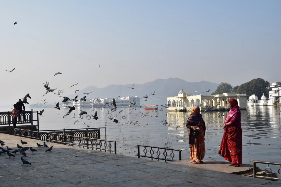 IMG_9507.jpg?type=w966