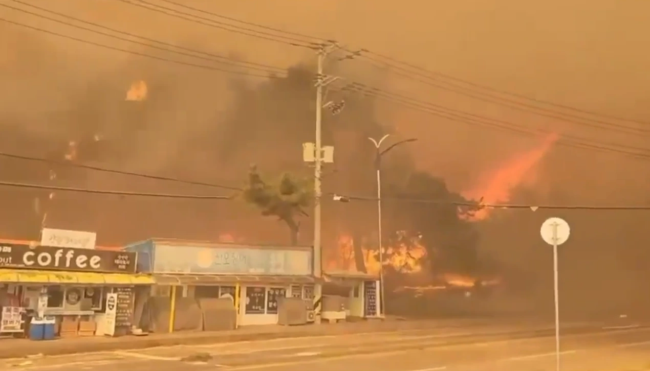 덮칠 시게로 덤벼드는 불기둥.PNG