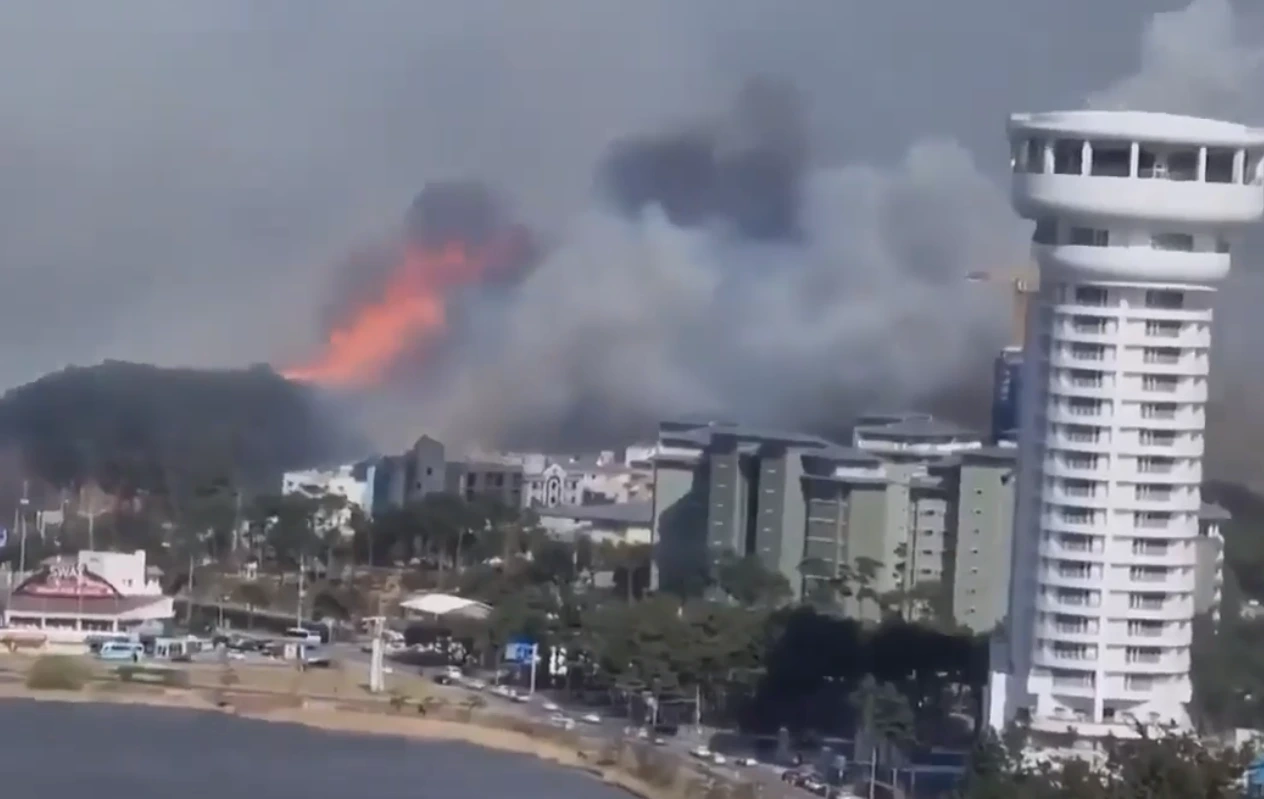 경포호 하늘 뒤덮은 시커먼 연기와 불기둥.PNG