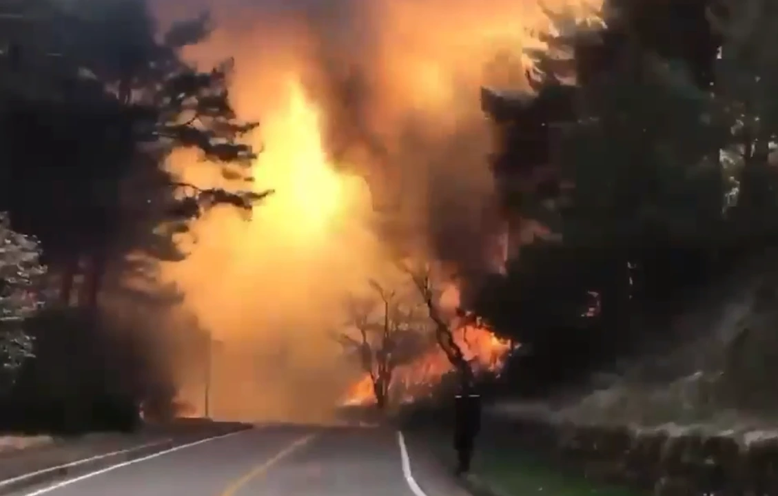 불구덩이에 빠진 도로.PNG