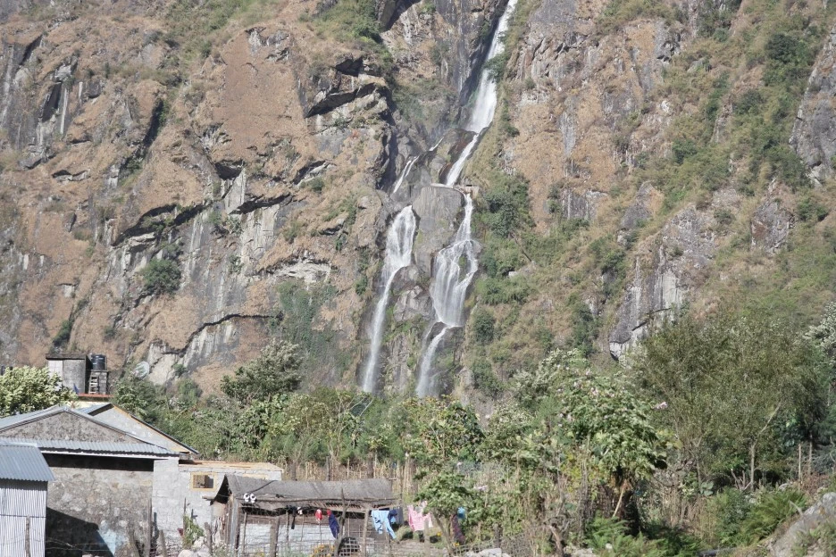 SAM_0416.JPG?type=w1