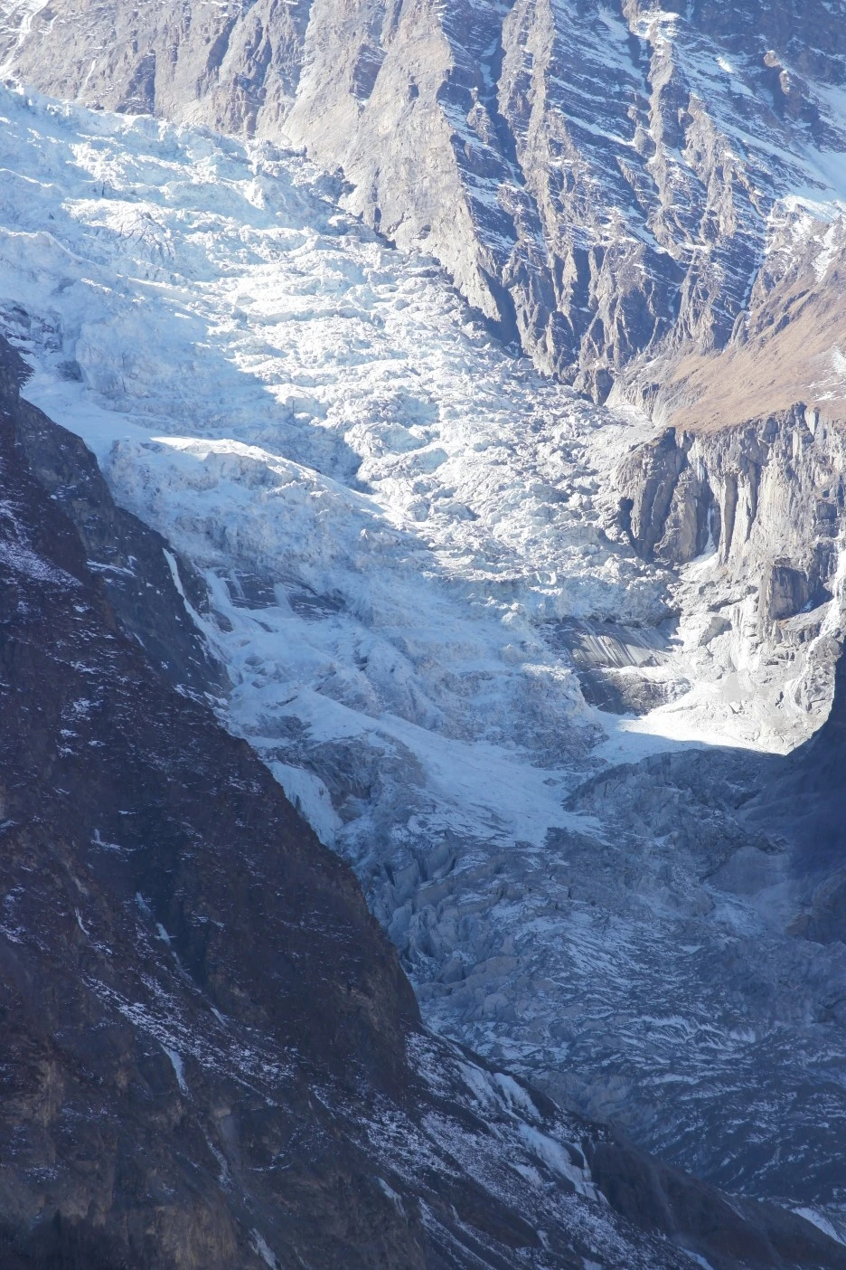 SAM_0731.JPG?type=w1