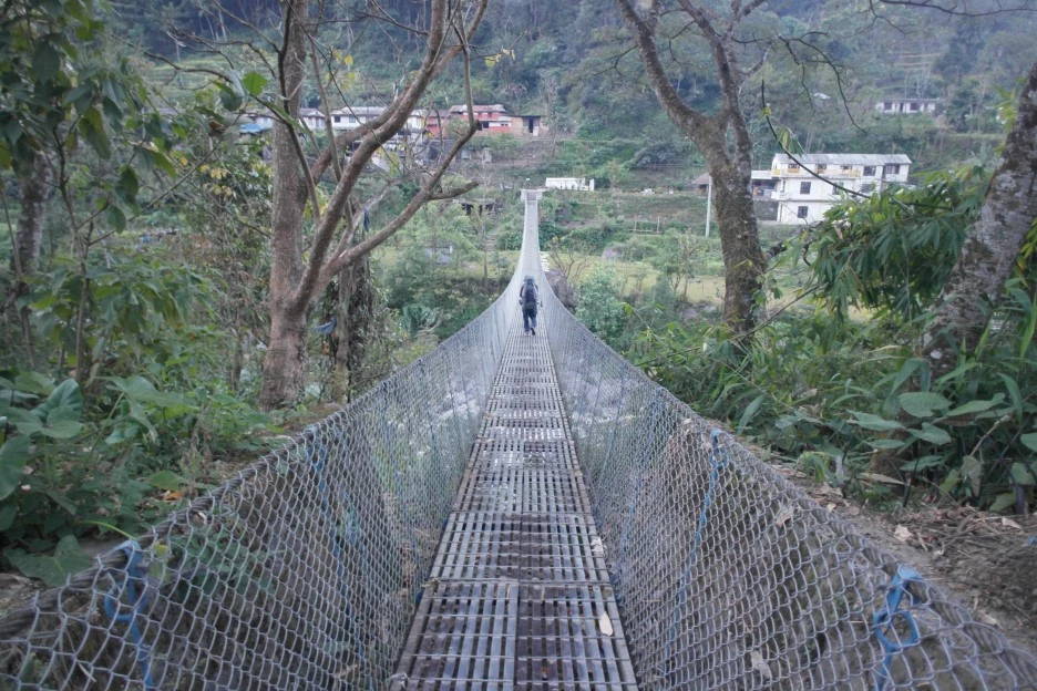 SAM_0282.JPG?type=w1