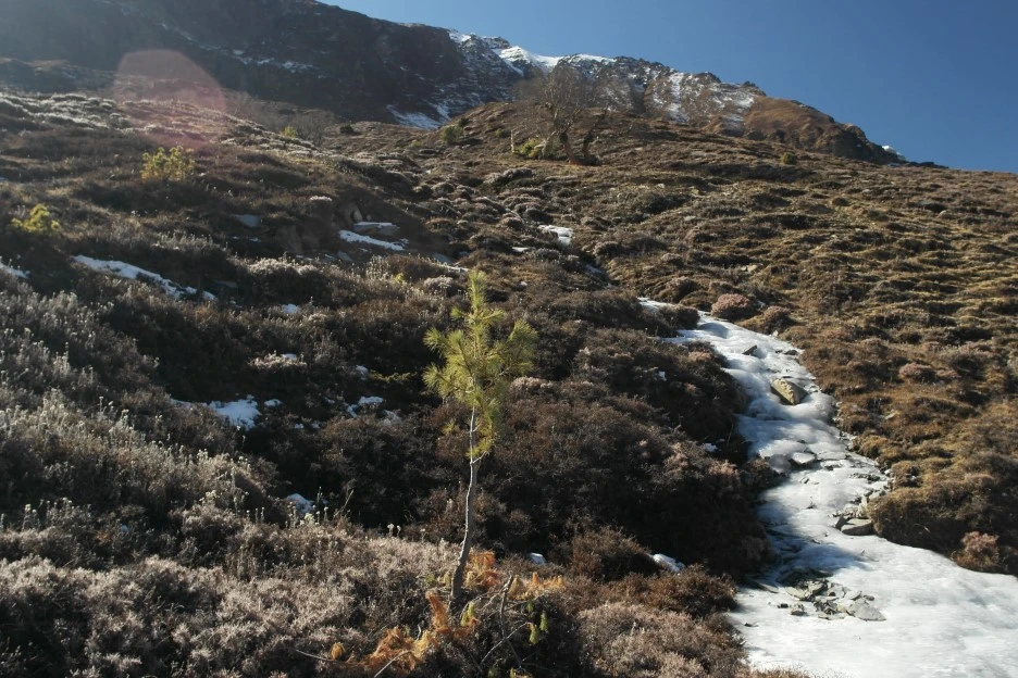 SAM_0746.JPG?type=w1