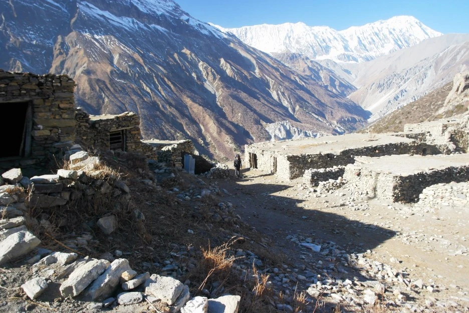 SE-e249e357-2441-4725-b002-b937f341ee8c.jpg?type=w1