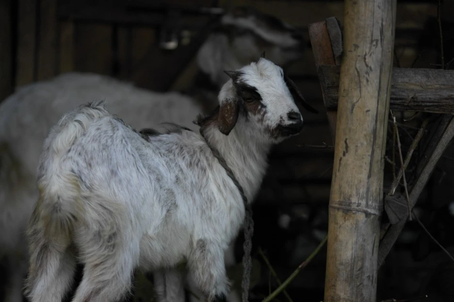 SAM_0299.JPG?type=w1