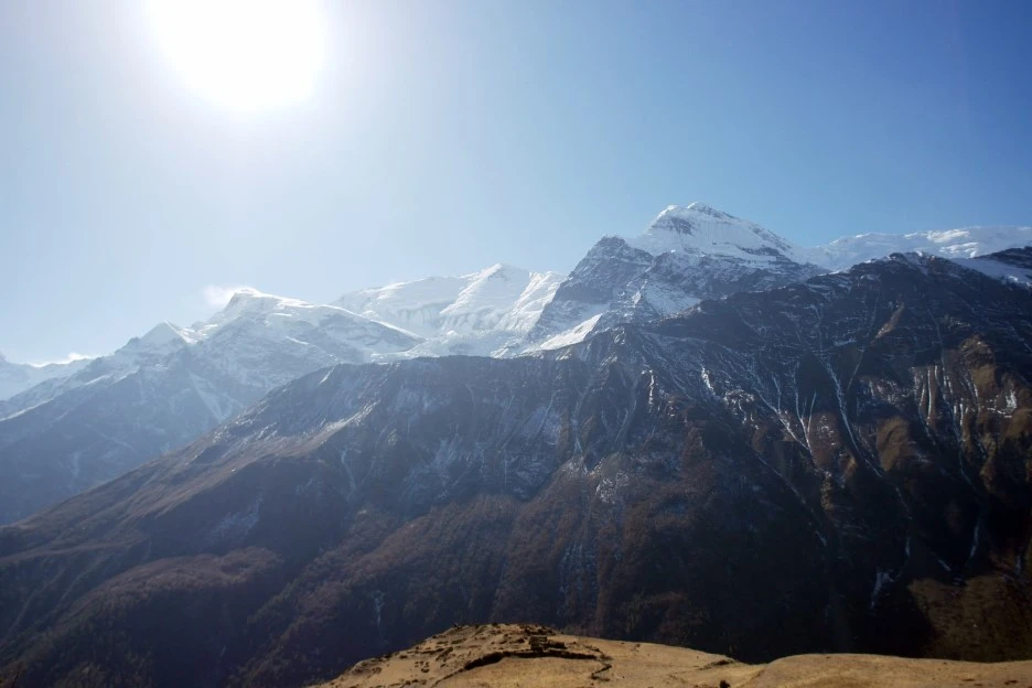 SE-62480979-427b-4b9a-9ed1-e78445b58c7f.jpg?type=w1