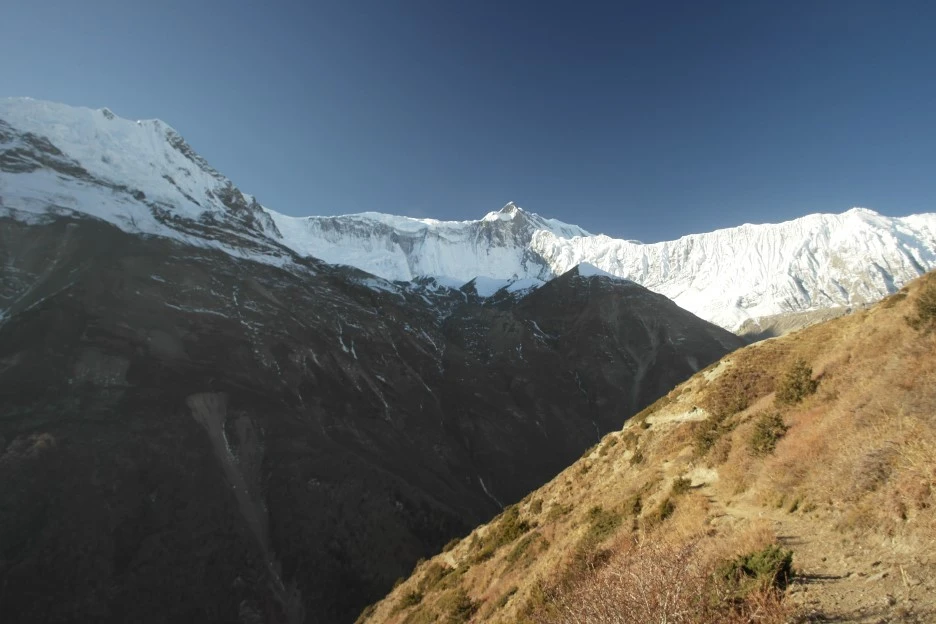 SAM_0812.JPG?type=w1