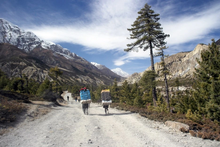 SE-2b90a62e-1e46-4367-bb9e-e4eb2024a773.jpg?type=w1