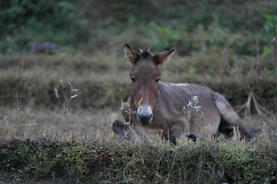 SAM_0307.JPG?type=w1