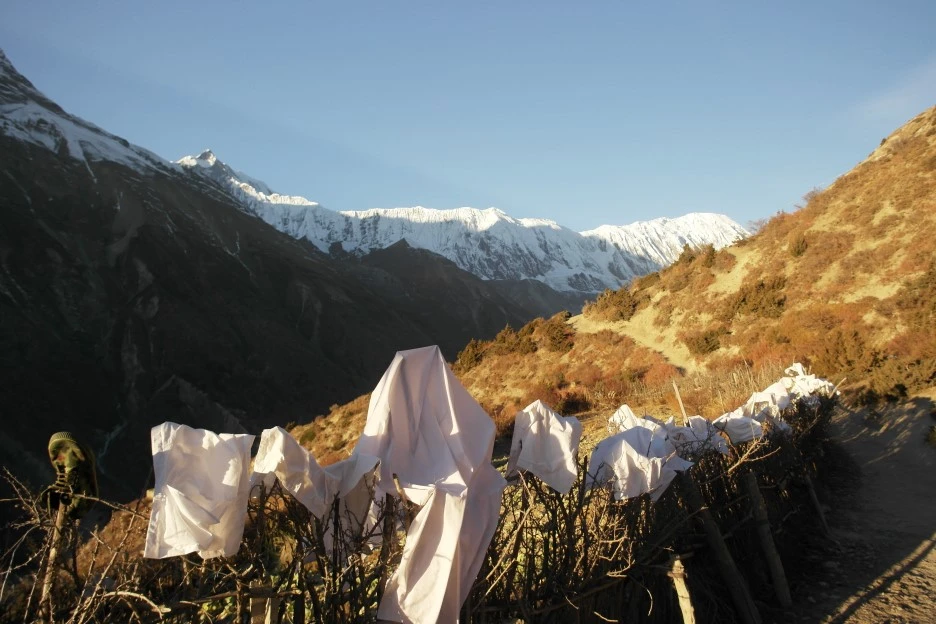 SAM_0805.JPG?type=w1