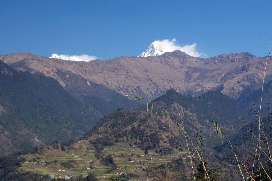 SE-77ad67b6-0b8a-4f60-af9f-f6744bc6af42.jpg?type=w1