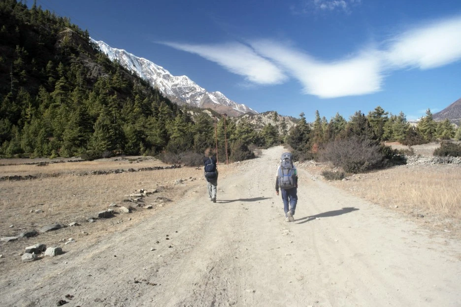 SE-7f13301e-ccd3-47ee-9372-9ee79973e197.jpg?type=w1