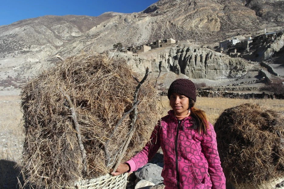 SAM_0700.JPG?type=w1