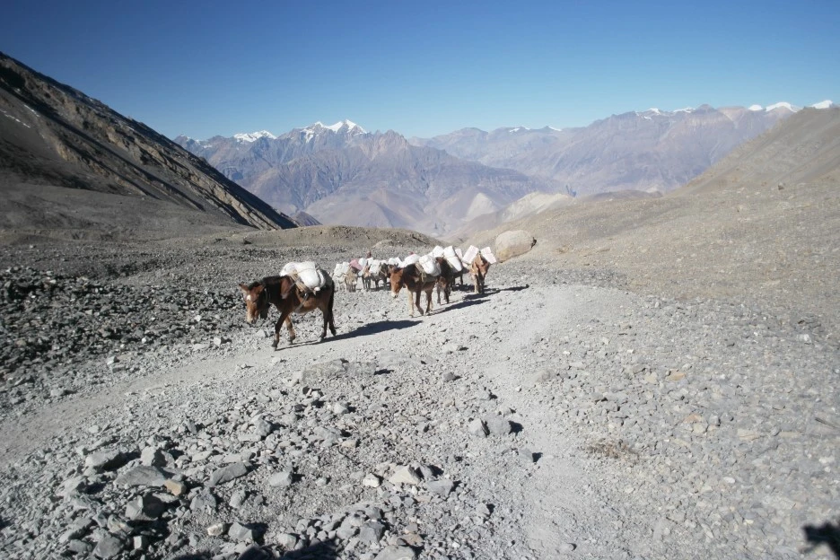 SAM_1096.JPG?type=w1