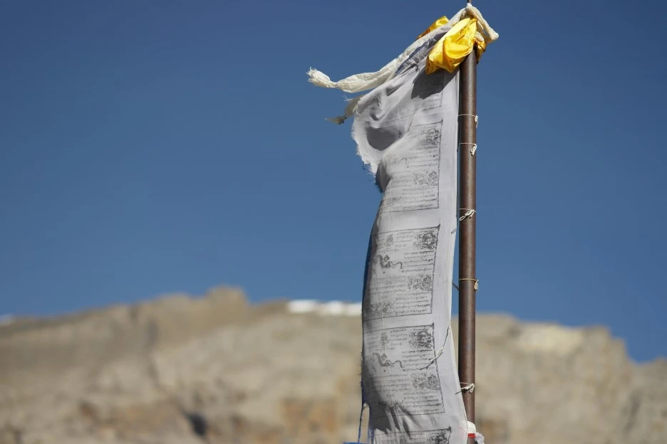 SAM_0839.JPG?type=w1